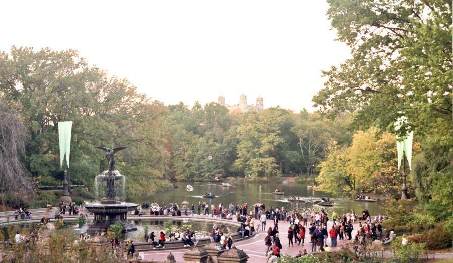 Tons of People in Central Park, NY, NY