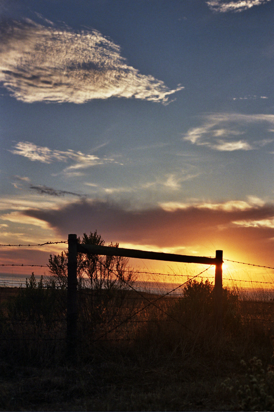 Sunset with a fence in Cambria, CA