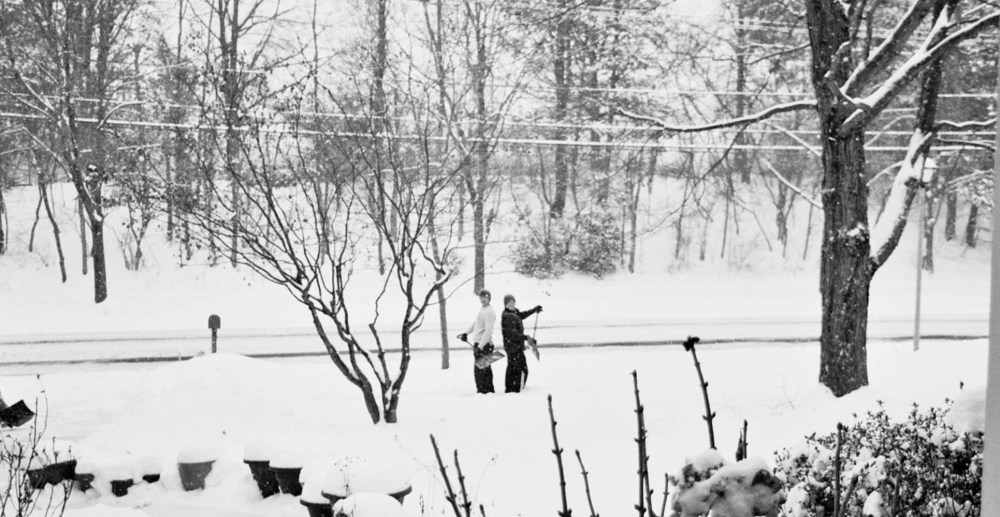 Winter Wonderland Antics